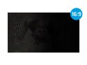 NATEC FILTR PRYWATYZUJĄCY OWL 13.3" 16:9 NFP-1616
