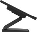 Płaski ekran Iiyama ProLite T2454MSC-B2AG 24 PCAP Multi Touch 10P - 61 cm
