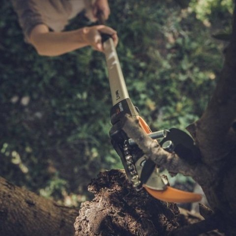 Fiskars UPX82 Nożyce ogrodowe Kowadło Czarny, Niebieski, Szary Fiskars UPX82 Nożyce ogrodowe Kowadło Czarny, Niebieski, Szary