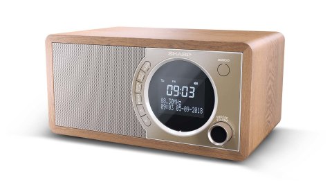 Radio cyfrowe Sharp DR-450(BR) z technologią Bluetooth