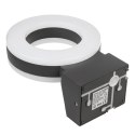 Lampa LED Maclean, ścienna, z czujnikiem PIR, PC+ALU, 20W, 1700lm, IP65, Neutral White 4000K, szara, MCE365