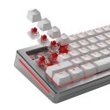 Glorious Gaming GLO-KB-ACC-SWT-FOX-HE-36 bez kategorii