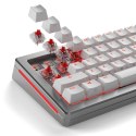 Glorious Gaming GLO-KB-ACC-SWT-FOX-LUBED-110 części do urządzeń wejściowych Przełączniki klawiatury