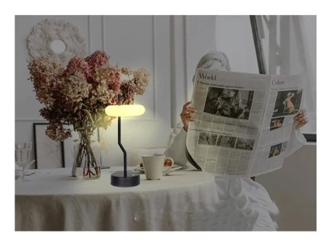 Techly I-LAMP-TABLE2 lampa stołowa Niewymienialne źródło światła 2 W LED Czarny, Biały