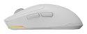 GENESIS NMG-2194 myszka Gaming Oburęczny Bluetooth + USB Type-C Optyczny 26000 DPI