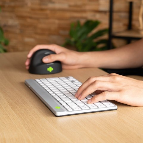 Klawiatura R-Go Tools Compact Break RGOCOUSWLWH Bluetooth QWERTY US Englisch Weiß