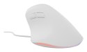 NATEC Crake 2 Pro myszka Uniwersalne Po prawej stronie USB Typu-A Optyczny 12800 DPI
