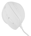 NATEC Crake 2 Pro myszka Uniwersalne Po prawej stronie USB Typu-A Optyczny 12800 DPI