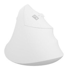 NATEC Crake 2 myszka Uniwersalne Po prawej stronie RF Wireless + Bluetooth Optyczny 2400 DPI