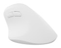 NATEC Crake 2 myszka Uniwersalne Po prawej stronie RF Wireless + Bluetooth Optyczny 2400 DPI