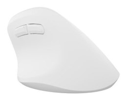 NATEC Crake 2 myszka Uniwersalne Po prawej stronie RF Wireless + Bluetooth Optyczny 2400 DPI