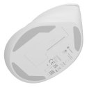 NATEC Crake 2 myszka Uniwersalne Po prawej stronie RF Wireless + Bluetooth Optyczny 2400 DPI