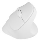 NATEC Crake 2 myszka Uniwersalne Po prawej stronie RF Wireless + Bluetooth Optyczny 2400 DPI