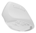 NATEC Crake 2 myszka Uniwersalne Po prawej stronie RF Wireless + Bluetooth Optyczny 2400 DPI