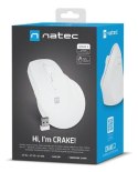 NATEC Crake 2 myszka Uniwersalne Po prawej stronie RF Wireless + Bluetooth Optyczny 2400 DPI