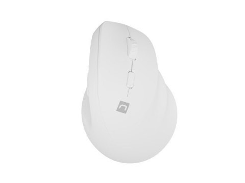 NATEC Crake 2 myszka Uniwersalne Po prawej stronie RF Wireless + Bluetooth Optyczny 2400 DPI NATEC Crake 2 myszka Uniwersalne Po prawej stronie RF Wireless + Bluetooth Optyczny 2400 DPI