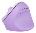 NATEC Crake 2 myszka Uniwersalne Po prawej stronie RF Wireless + Bluetooth Optyczny 2400 DPI