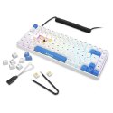 Sharkoon SKILLER SGK50 S3 PBT klawiatura Gaming USB QWERTZ Niemiecki Biały