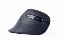 Gembird MUSW-ERGO-03 myszka Dom Po prawej stronie RF Wireless Optyczny 1600 DPI