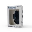 Gembird MUSW-ERGO-03 myszka Dom Po prawej stronie RF Wireless Optyczny 1600 DPI
