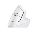 Logitech Lift myszka Biuro Po prawej stronie RF Wireless + Bluetooth Optyczny 4000 DPI