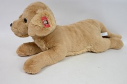 Maskotka pies Labrador 60cm leżący