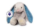 Whisbear szumišcy Króli? Felek 45029