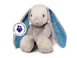 Whisbear szumišcy Króli? Felek 45029