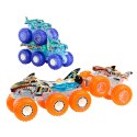 Samochodzik Hot Wheels Monster Trucks HYJ29
