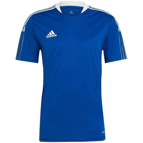 Koszulka męska adidas Tiro 21 Training Jersey niebieska GM7589 L Koszulka męska adidas Tiro 21 Training Jersey niebieska GM7589 L