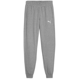 Spodnie dla dzieci Puma Team Goal szare 658601 33 152cm