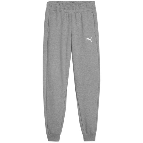 Spodnie dla dzieci Puma Team Goal szare 658601 33 152cm