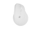 NATEC Crake 2 myszka Uniwersalne Po prawej stronie RF Wireless + Bluetooth Optyczny 2400 DPI