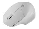 NATEC MYSZ BEZPRZEWODOWA SISKIN 2 BT 5.0 + 2.4GHZ