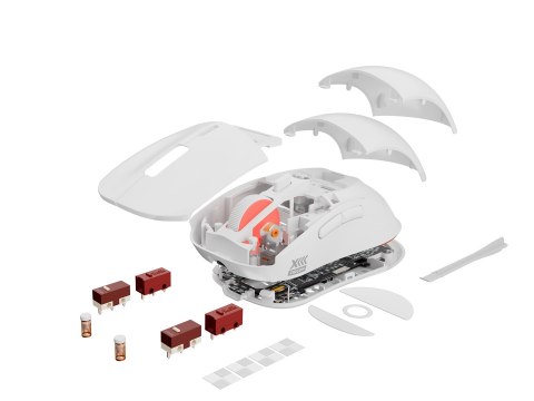 GENESIS Zircon XIII myszka Gaming Oburęczny RF Wireless + USB Type-C Optyczny 26000 DPI GENESIS Zircon XIII myszka Gaming Oburęczny RF Wireless + USB Type-C Optyczny 26000 DPI