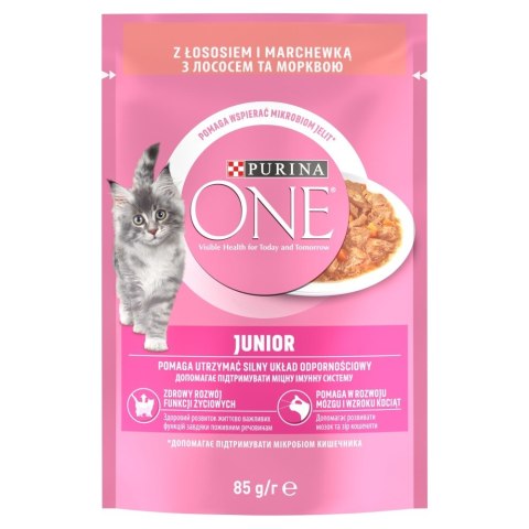 PURINA ONE JUNIOR łosoś/marchew 85g PURINA ONE JUNIOR łosoś/marchew 85g