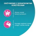 PURINA ONE JUNIOR łosoś/marchew 85g