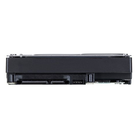 Synology HDD Plus Series (8TB; 3.5"; SATA) HAT3310-8T Synology HDD Plus Series (8TB; 3.5"; SATA) HAT3310-8T
