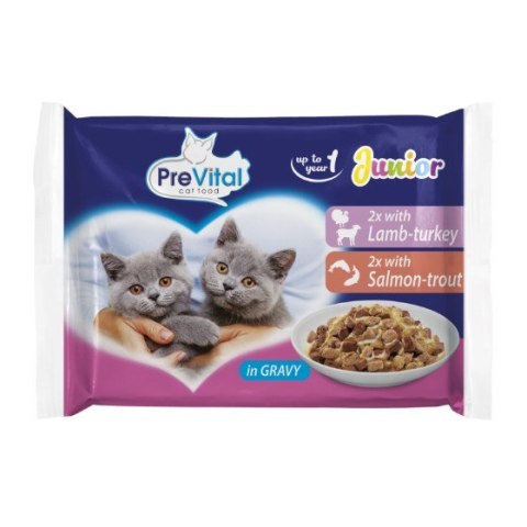 PREVITAL JUNIOR - Z jagnięciną, indykiem, łososiem, pstrągiem w sosie - Pełnoporcjowa karma dla kotów - 4x100g PREVITAL JUNIOR - Z jagnięciną, indykiem, łososiem, pstrągiem w sosie - Pełnoporcjowa karma dla kotów - 4x100g