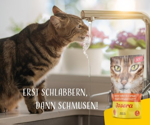 JOSERA Zupa kurczak z marchwią i szpinakiem - mokra karma dla kota - 70 g JOSERA Zupa kurczak z marchwią i szpinakiem - mokra karma dla kota - 70 g
