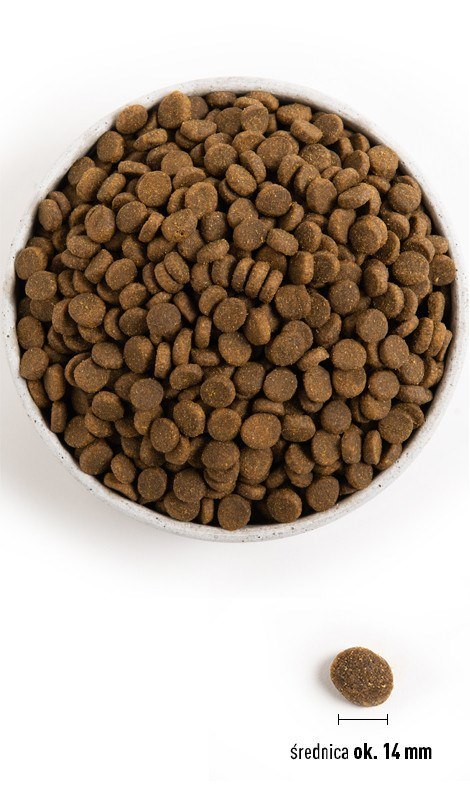 ACANA Highest Protein Pacifica Dog - sucha karma dla psa - 11,4 kg ACANA Highest Protein Pacifica Dog - sucha karma dla psa - 11,4 kg