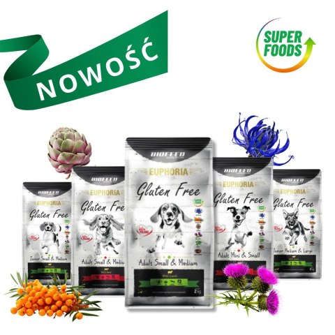 BIOFEED Euphoria G-F psy MID&MAXI wołowina 2kg BIOFEED Euphoria G-F psy MID&MAXI wołowina 2kg