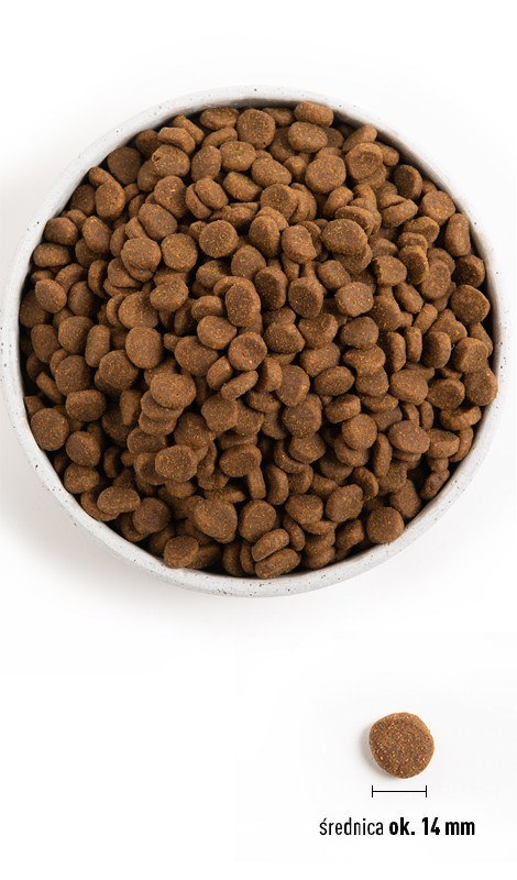 ORIJEN Senior Dog 11.4kg ORIJEN Senior Dog 11.4kg