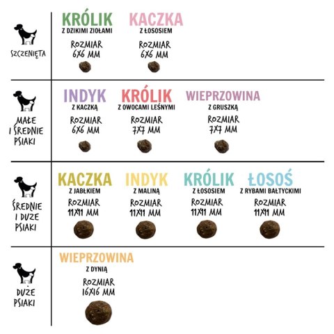 Paka Zwierzaka Seventh Heaven Łosoś z rybami bałtyckimi ''M'' 1,5kg Paka Zwierzaka Seventh Heaven Łosoś z rybami bałtyckimi ''M'' 1,5kg