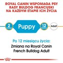 ROYAL CANIN BHN French Bulldog Puppy - sucha karma dla szczeniąt - 3kg