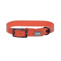 KERBL Obroża dla psa Puno, 36 - 45 cm, 25 mm, pomarańczowy